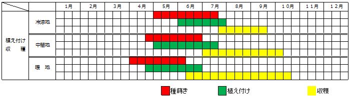 ツルムラサキの種植え時期・植え付け時期・収穫時期カレンダー
