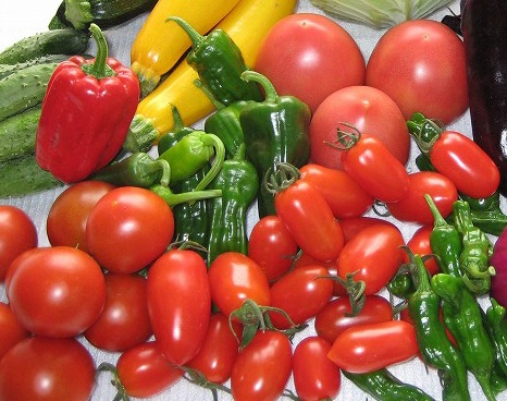 実野菜の種類と栽培方法