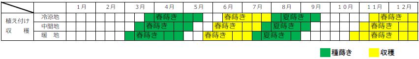 ニンジンの栽培カレンダー