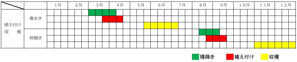 ブロッコリー栽培カレンダー（植え付け時期・種まき時期）