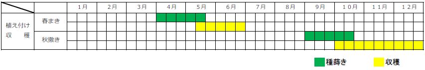キョウナ（京菜）栽培カレンダー