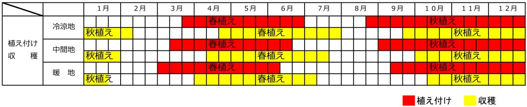 ロケット種蒔き収穫カレンダー