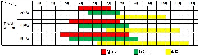 ツルナ（蔓菜）栽培カレンダー